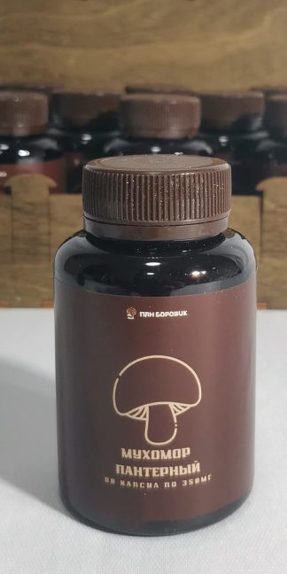 Пантерный мухомор в капсулах для микродозинга