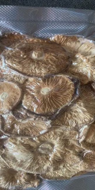 Сушеные шляпки Мухомора Пантерного 100 гр